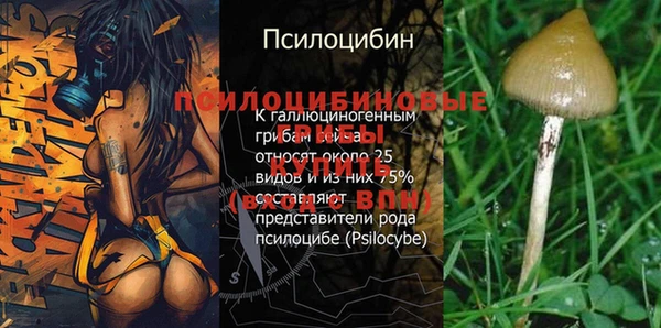 мет Аркадак