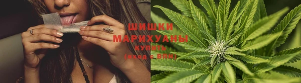 мет Аркадак
