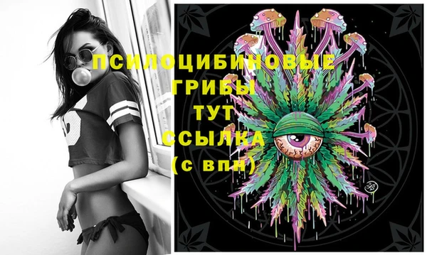 ALPHA-PVP Армянск