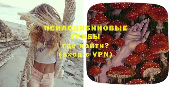 мет Аркадак