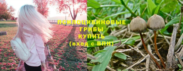 ALPHA-PVP Армянск